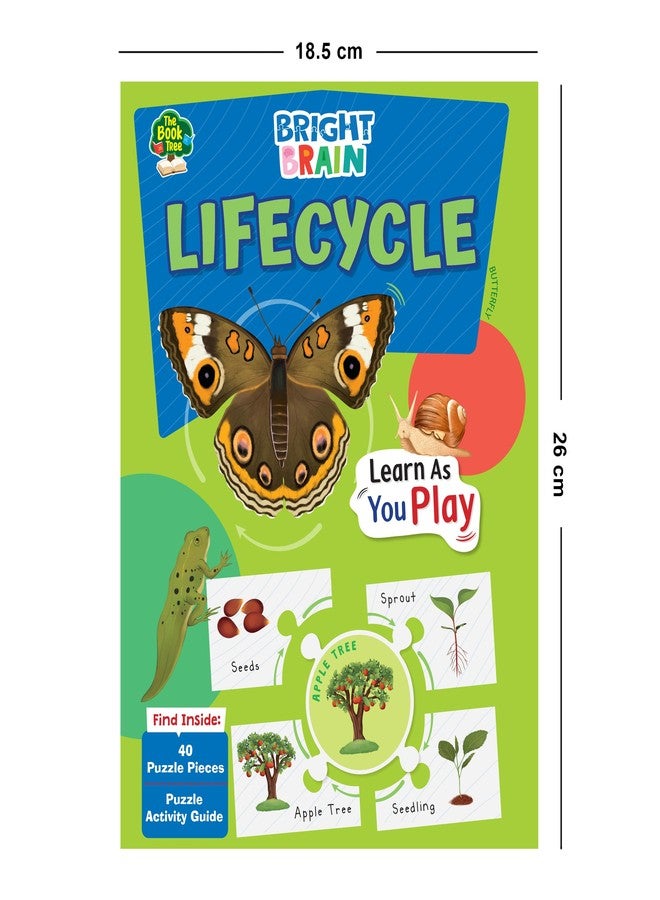 The Book Tree Bright Brain Lifecycle Puzzle - Explore & Understand Lifecycles with 40 Puzzle Pieces - Perfect for Kids Age 3+ - Gift Box by Majestic Book Club - Image 4